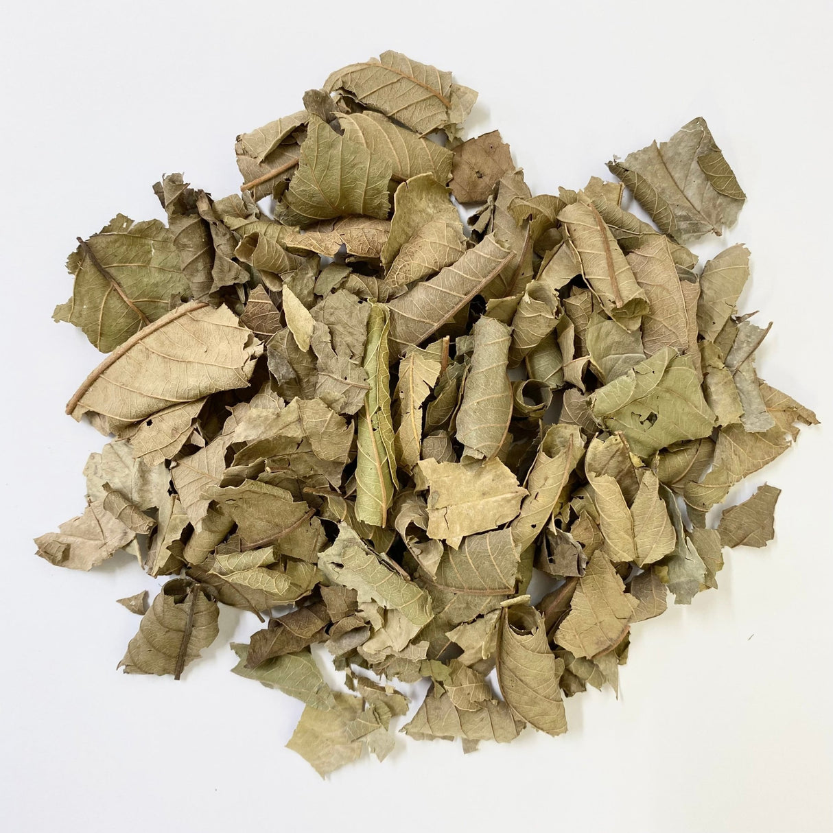 Nakazen: Guava Leaf Tea (loose leaf) - tokinari.live