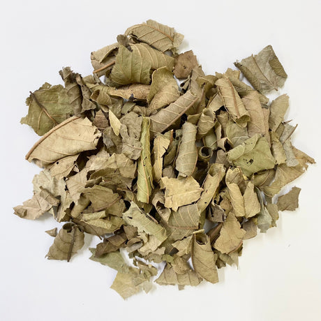 Nakazen: Guava Leaf Tea (loose leaf) - tokinari.live