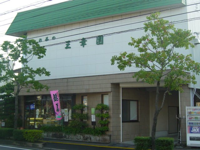 Nama Toubancha: Non-Steamed Green Tea from Ocha no Sankoen, Shimane, Japan - tokinari.live