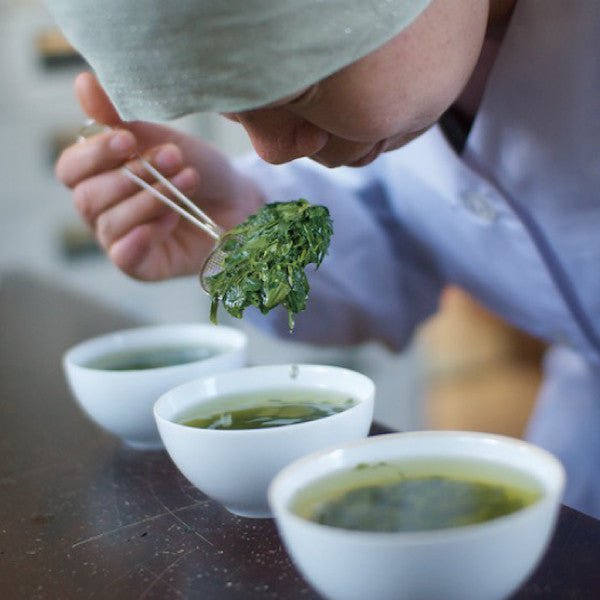 NaturaliTea #02: 2022 Hachijyuhachiya Sencha Green Tea, Spring Midori First Flush 有機八十八夜摘み 春の香みどり - tokinari.live
