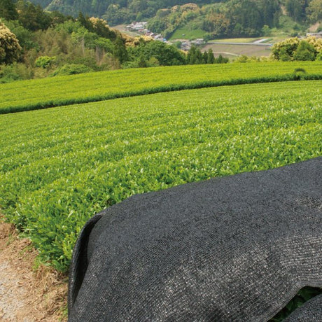 NaturaliTea #18: 2022 Organic Premium Kabuse Sencha 有機一番摘み煎茶: 冠(かぶせ)茶 - tokinari.live