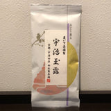 Nishide G10: Standard Uji Gyokuro 宇治玉露 - tokinari.live