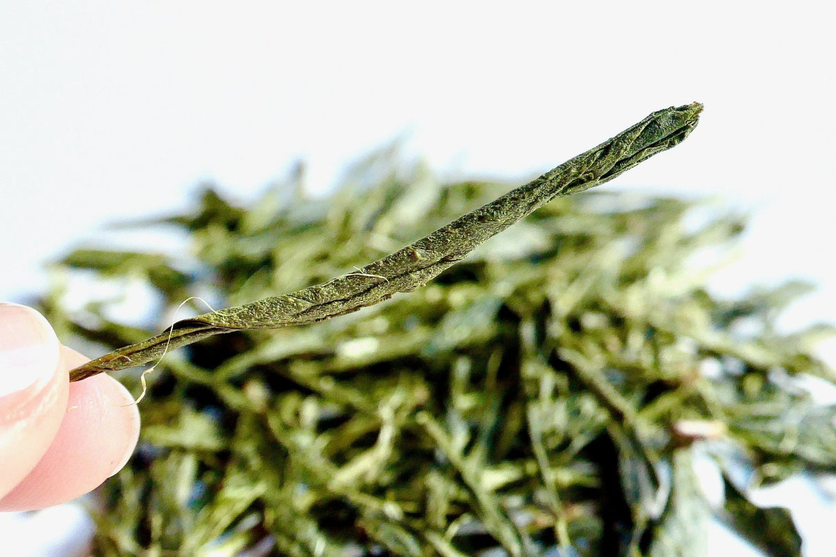 Obubu #08: Yanagi Bancha, Green Tea - tokinari.live