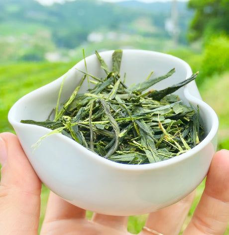 Obubu #08: Yanagi Bancha, Green Tea - tokinari.live