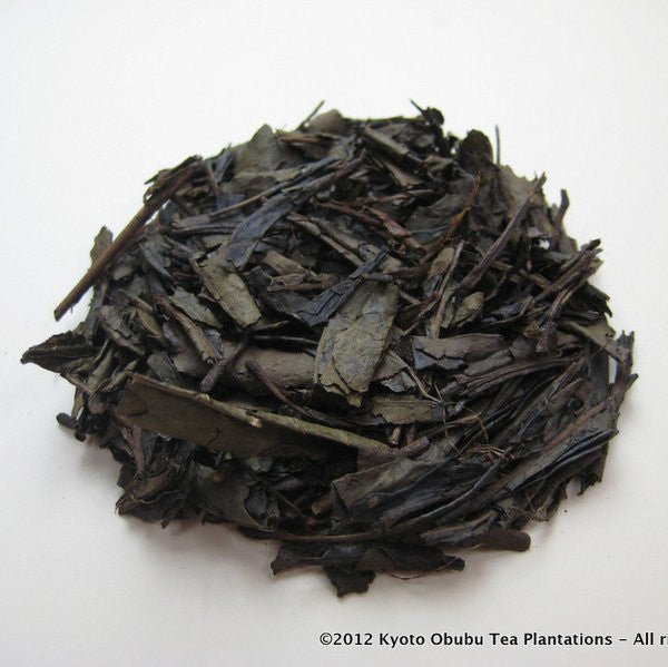 Obubu #11: Hojicha (Basic Roast), Roasted Green Tea - tokinari.live