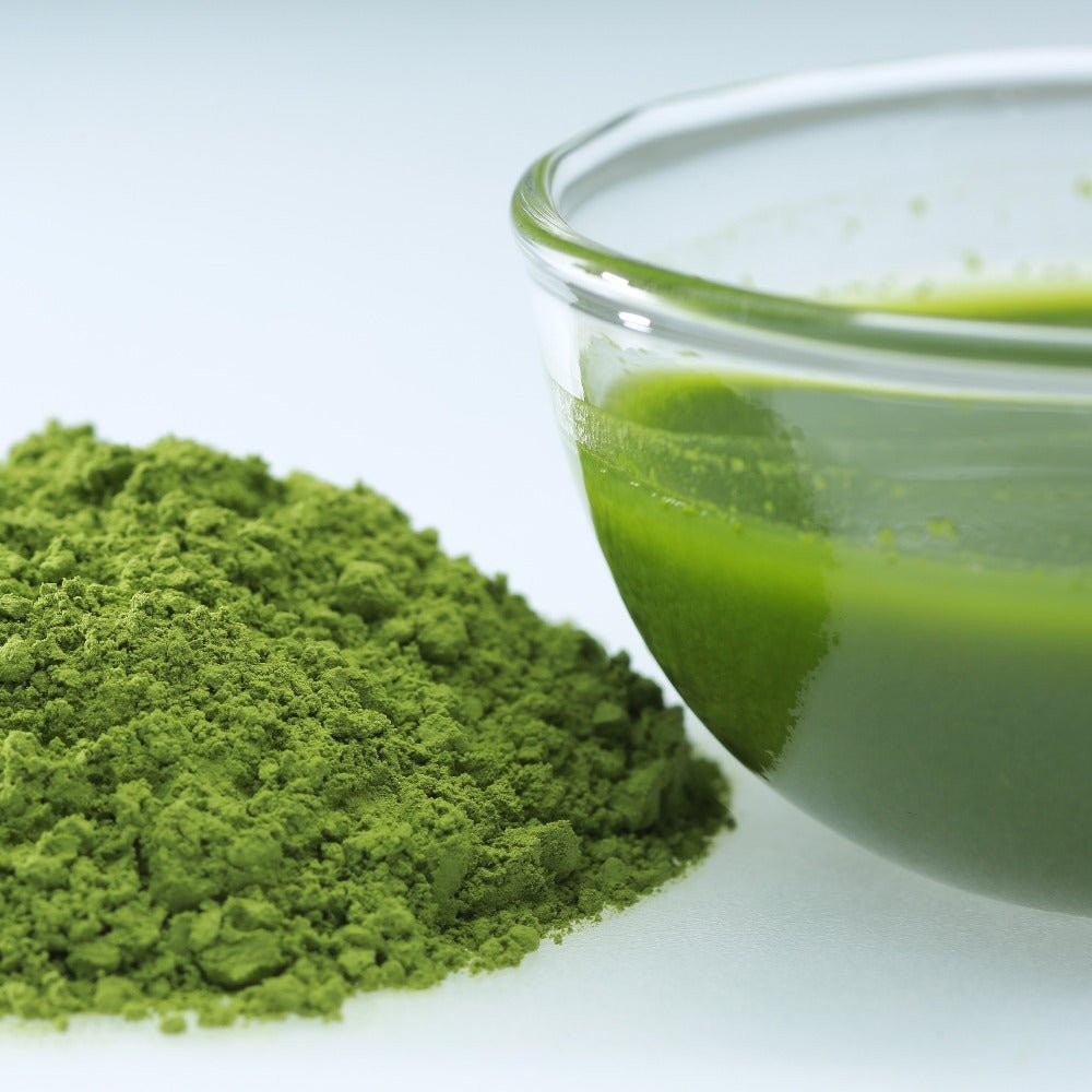 Organic Matcha Kogamo: Mountain-Grown in Tenryu, Shizuoka by Osada Tea - tokinari.live