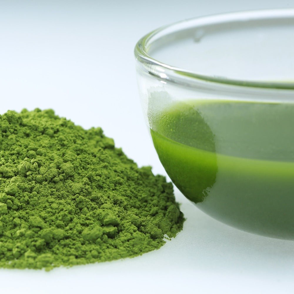Osada Tea: Organic Gokou Matcha Koiai, Single Cultivar, Mountain-Grown in Tenryu, Shizuoka) - tokinari.live