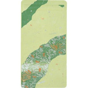 Seiwa 10413: Resealable bag (Japanese washi paper, green, flat, 120 x 230 mm) - tokinari.live