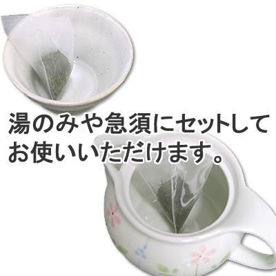 Seiwa 18734: Flat or Pyramid Mesh Tea Bags, 55 x 80 mm - tokinari.live