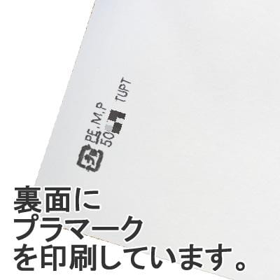 Seiwa 50552: Sample Packets, white matte paper, 110 x 110 mm - tokinari.live