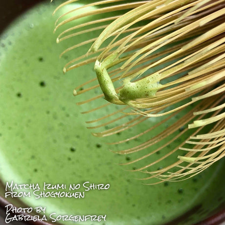 Shogyokuen: Matcha Izumi no Shiro, Standard Ceremonial Grade (Spring Harvest) 泉の白 - tokinari.live