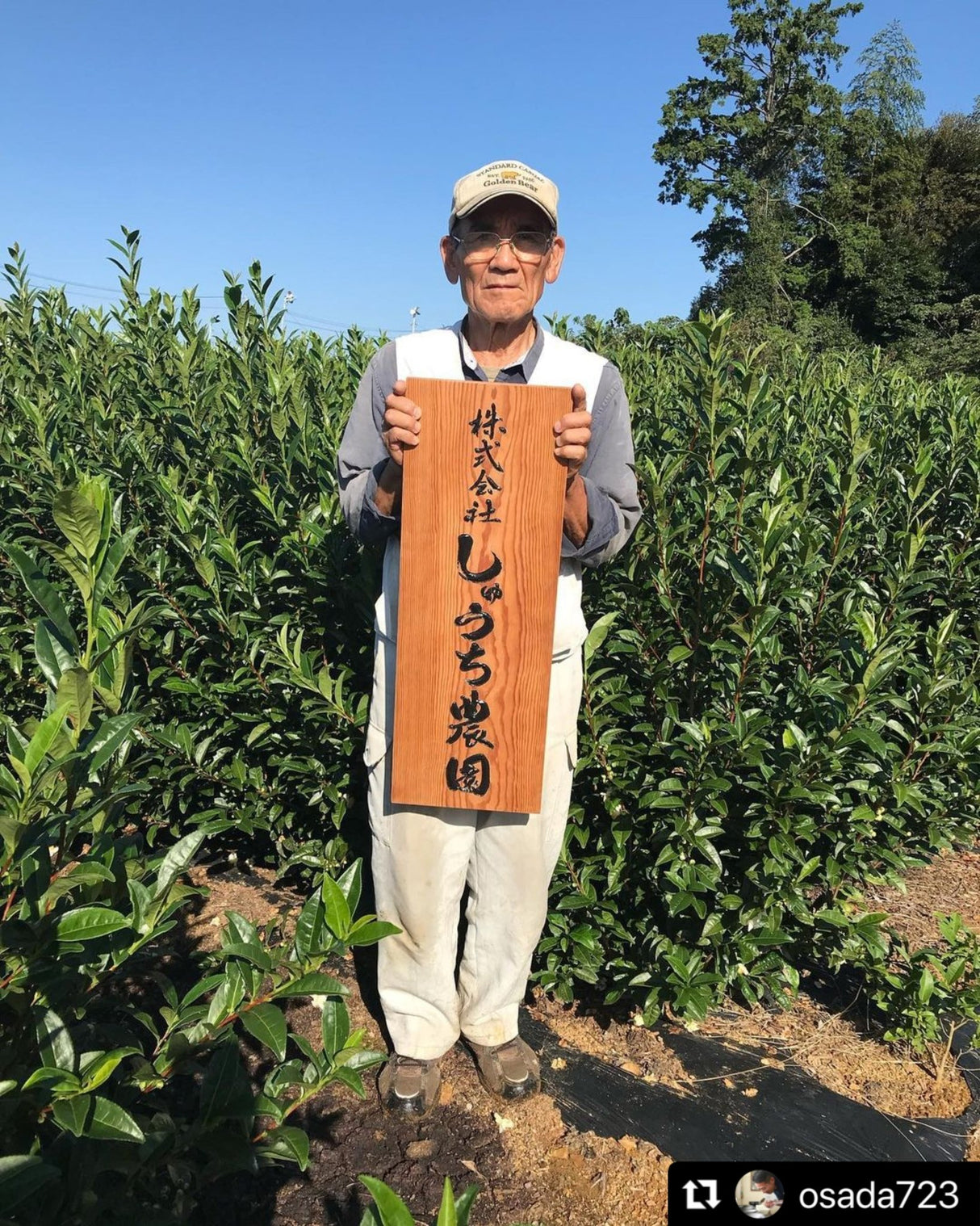 Shuchi Tea Garden: Fukamushicha Green Tea, Kirari 31 Single Cultivar, 2022 Nihoncha Awards Platinum Medal Winner, Refined by Osada Tea - tokinari.live