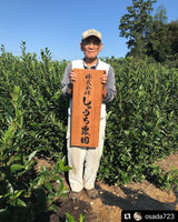 Shuchi Tea Garden: Fukamushicha Green Tea, Kirari 31 Single Cultivar, 2022 Nihoncha Awards Platinum Medal Winner, Refined by Osada Tea - tokinari.live