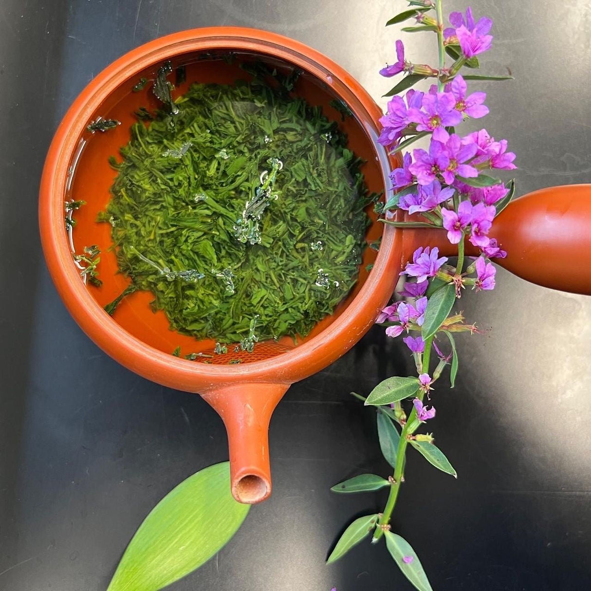 Shuchi Tea Garden: Fukamushicha Green Tea, Kirari 31 Single Cultivar, 2022 Nihoncha Awards Platinum Medal Winner, Refined by Osada Tea - tokinari.live