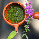 Shuchi Tea Garden: Fukamushicha Green Tea, Kirari 31 Single Cultivar, 2022 Nihoncha Awards Platinum Medal Winner, Refined by Osada Tea - tokinari.live
