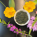 Shuchi Tea Garden: Fukamushicha Green Tea, Kirari 31 Single Cultivar, 2022 Nihoncha Awards Platinum Medal Winner, Refined by Osada Tea - tokinari.live