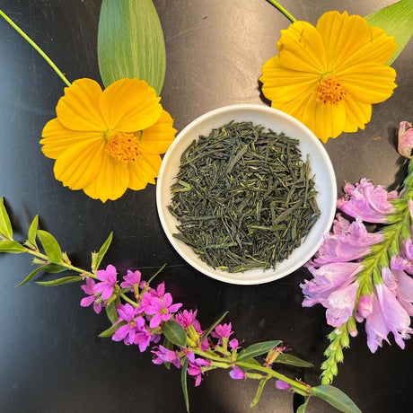 Shuchi Tea Garden: Fukamushicha Green Tea, Kirari 31 Single Cultivar, 2022 Nihoncha Awards Platinum Medal Winner, Refined by Osada Tea - tokinari.live