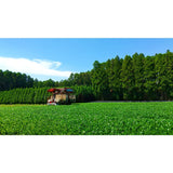Sueyoshi Tea Atelier #001: 2022 "Furusato no Hana" Saemidori Fukamushi Kabusecha from Kagoshima 末吉銘茶 郷里の華 さえみどり - tokinari.live