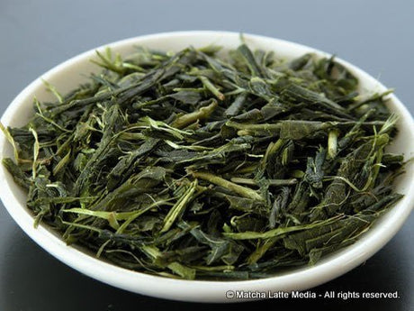 Takeo Tea Farm: 2022 Organic Bancha Green Tea, Satsuki no Aoyanagi, May harvest 五月の青柳 - tokinari.live