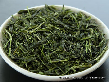 Takeo Tea Farm: 2022 Organic Spring Sencha Green Tea, Kodawari #3 Superior 上こだわり - tokinari.live