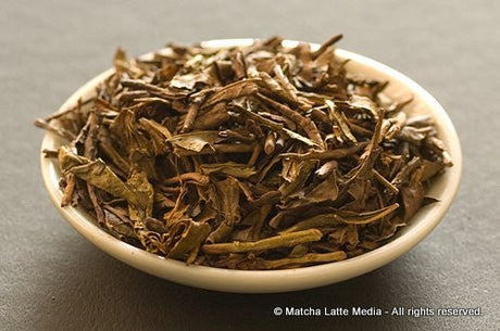 Takeo Tea Farm: Hojicha Roasted Green Tea (Autumn) 農薬不使用 有機ほうじ茶 - tokinari.live