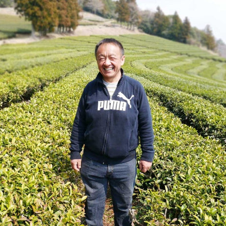 Tarui Tea Farm: Organic Sushi Restaurant Green Tea Powder - tokinari.live
