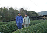 Tea Farmer Shinichi Kihara: 2022 Naturally Grown Kyoto Kabusecha (Single Cultivar Gokou) 自然栽培かぶせ茶ごこう - tokinari.live