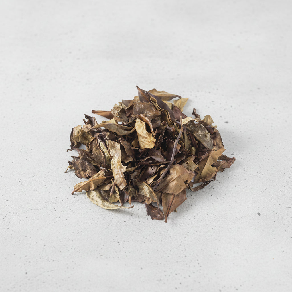 Tea Farmer Shinichi Kihara SKH003: Naturally Grown Kyobancha 京番茶 (Winter-roasted green tea leaves) - tokinari.live