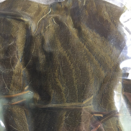 Tomiz: Pickled Sakura Leaves from Izu Peninsula, Shizuoka 桜葉の塩漬(伊豆産) - tokinari.live