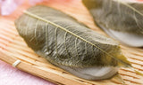 Tomiz: Pickled Sakura Leaves from Izu Peninsula, Shizuoka 桜葉の塩漬(伊豆産) - tokinari.live