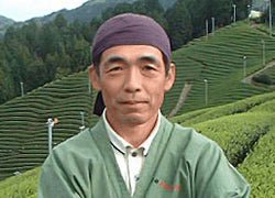 Uejima Tea Farm: Wazuka Sencha Superior Samidori 上煎茶 - tokinari.live