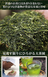 Wakoen Tea Farm: 2022 Kagoshima Fukamushicha - Kaori 和香園 深蒸し茶 薫 - tokinari.live
