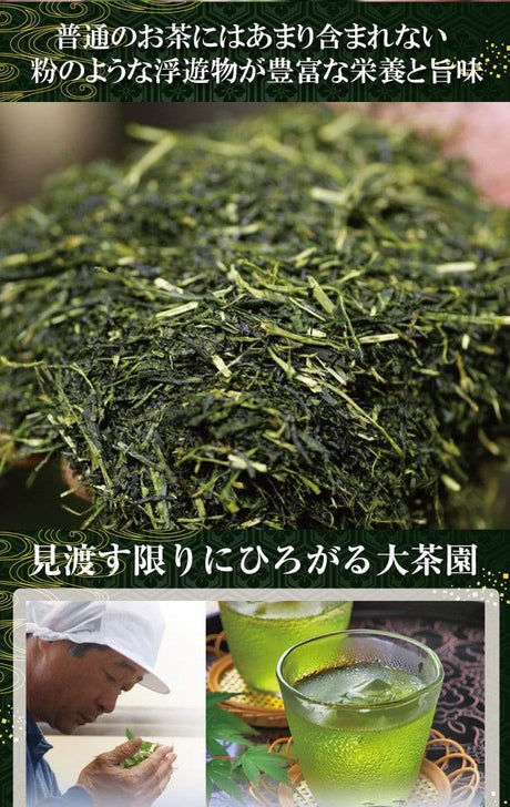 Wakoen Tea Farm: 2022 Kagoshima Fukamushicha - Miyabi 和香園 深蒸し茶 雅 - tokinari.live