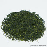 Yokota Tea Garden: Sayamacha Fukumidori (deep green sencha) - tokinari.live