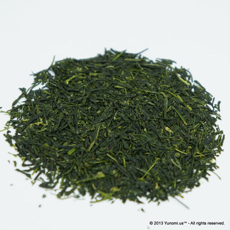 Yokota Tea Garden: Sayamacha Fukumidori (deep green sencha) - tokinari.live