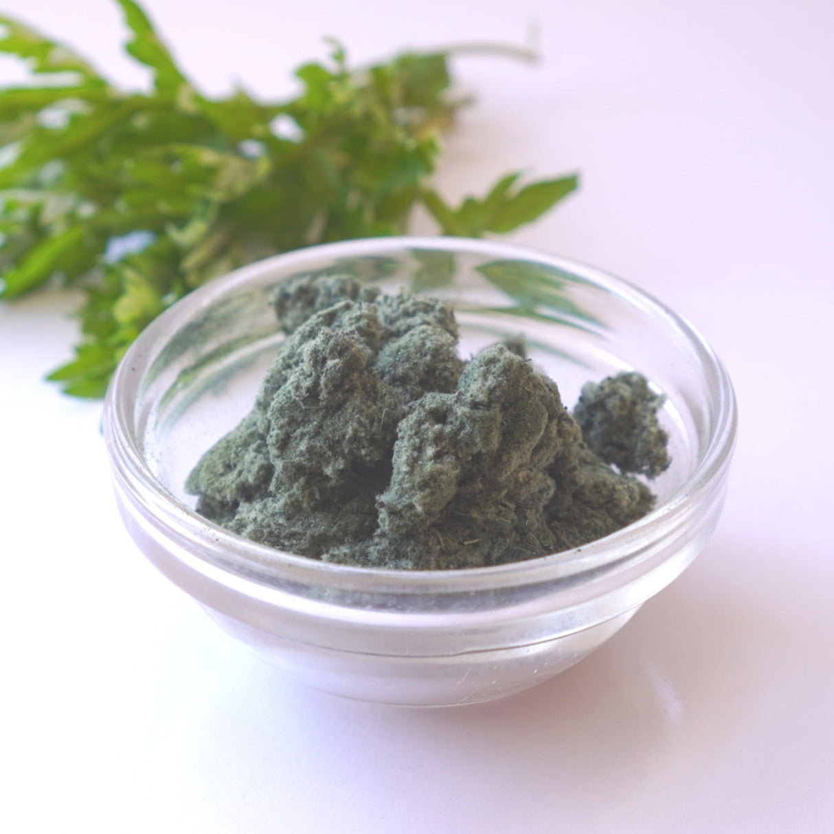 Yomogi (Mugwort) Powder from Aomori, Kyo no Kanbutsuya 京の乾物屋 青森産よもぎ使用よもぎ粉　 - tokinari.live