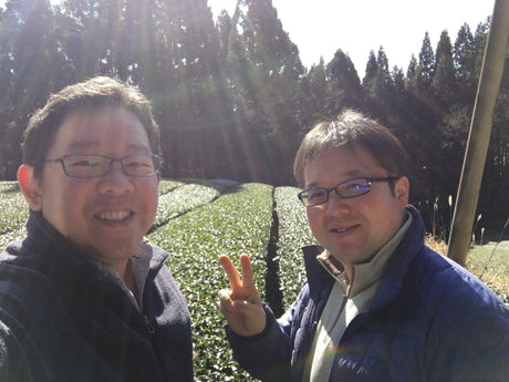 Yunomi Services: Tea Business Consultations - tokinari.live
