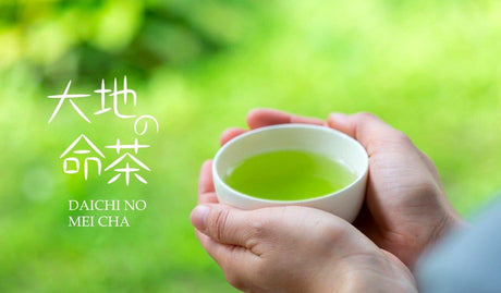 Zenkouen Tea Garden #03: 2022 Daichi no Meicha - Single Cultivar Kanaya Midori Shizuoka Sencha (JAS Organic) 大地の銘茶、かなやみどり - tokinari.live