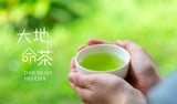 Zenkouen Tea Garden #18: 2022 Daichi no Meicha - Single Cultivar Yabukita Shizuoka Sencha (JAS Organic) 大地の銘茶、やぶきた - tokinari.live